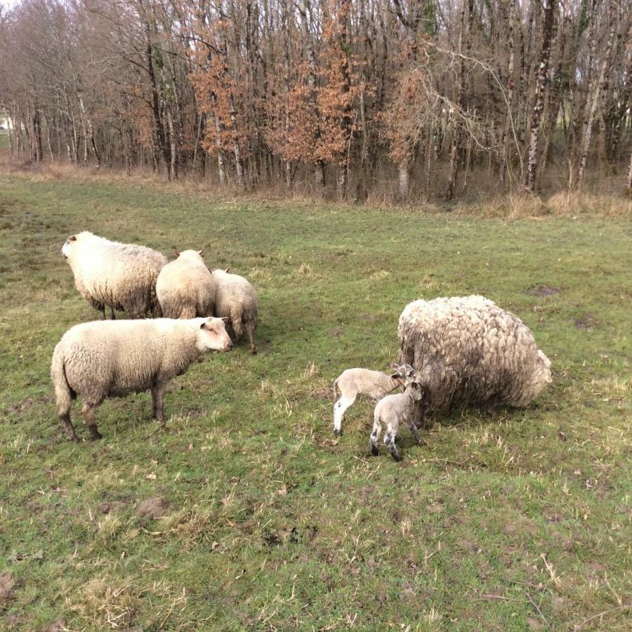 Gite Du Puy De L'Etang Laruscade Kültér fotó